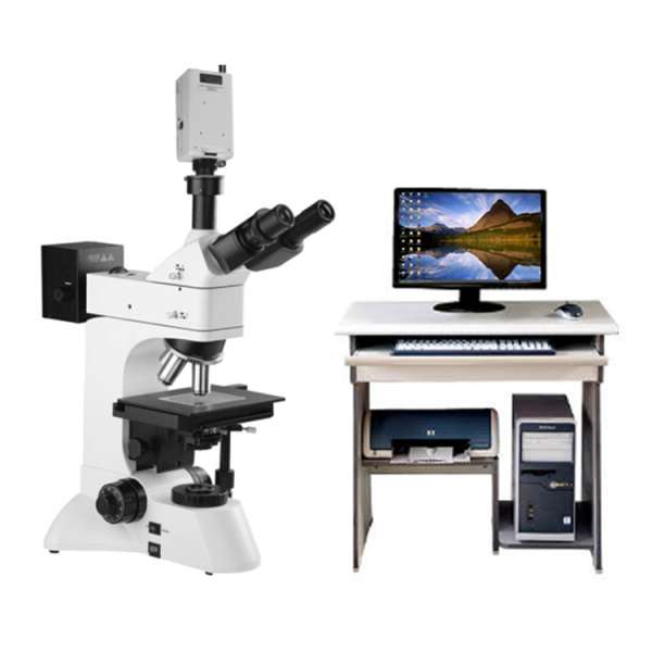 301-DW Medium-sized upright metallographic micr