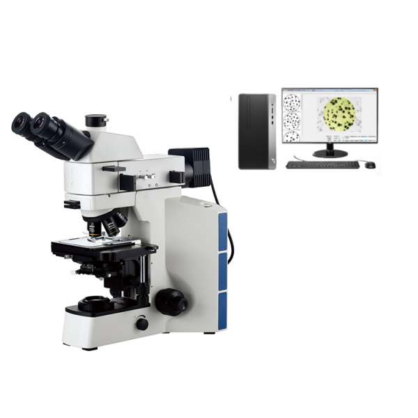 402-AWMedium-sized upright metallographic micro