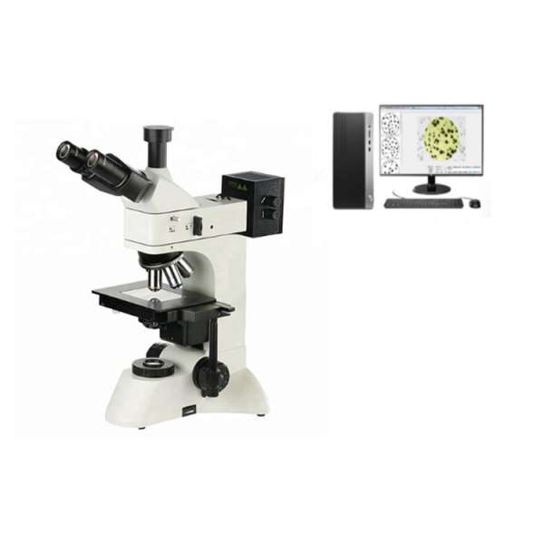 301-CW Medium-sized upright metallographic micr